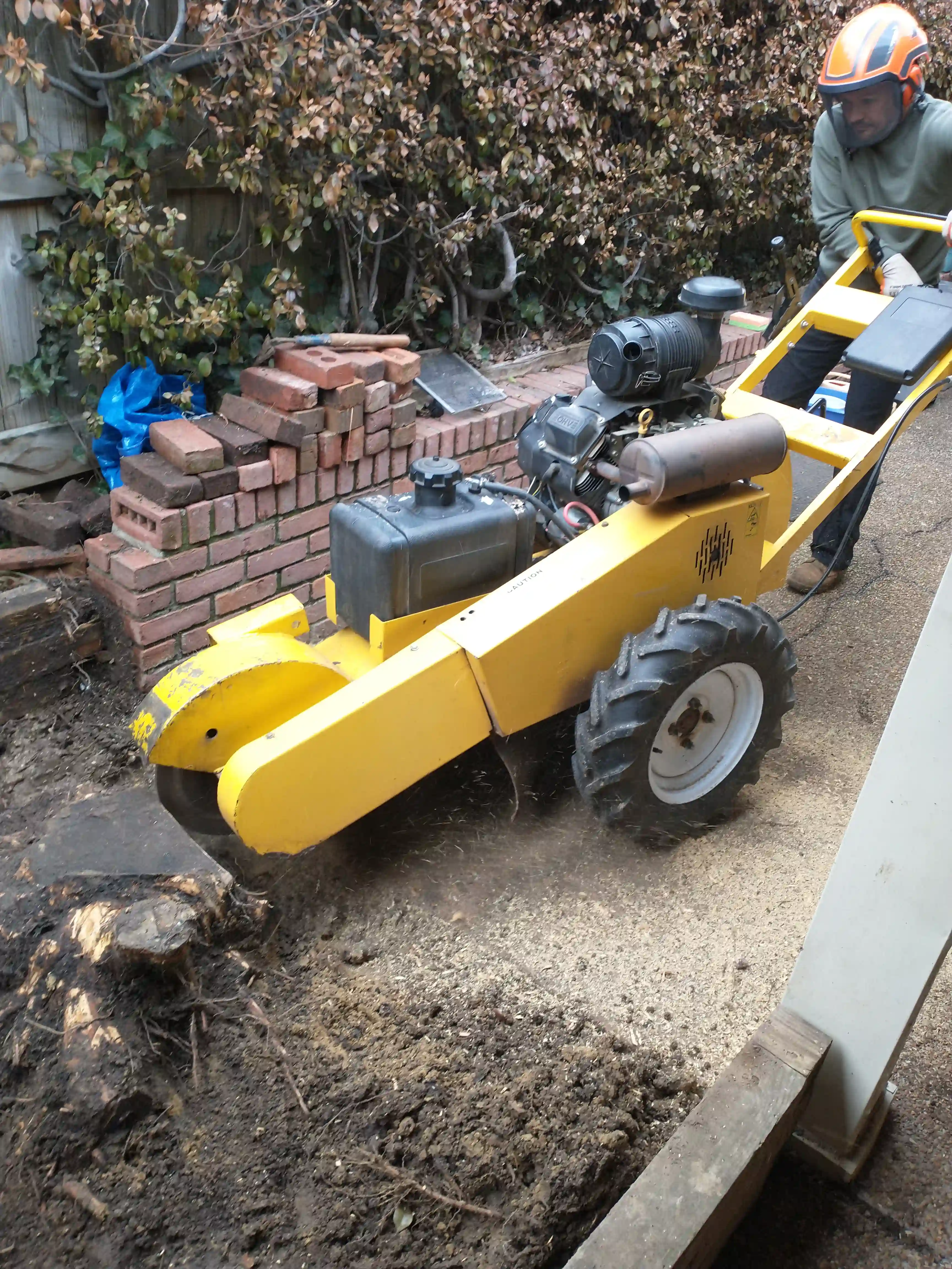 Stump Grinding