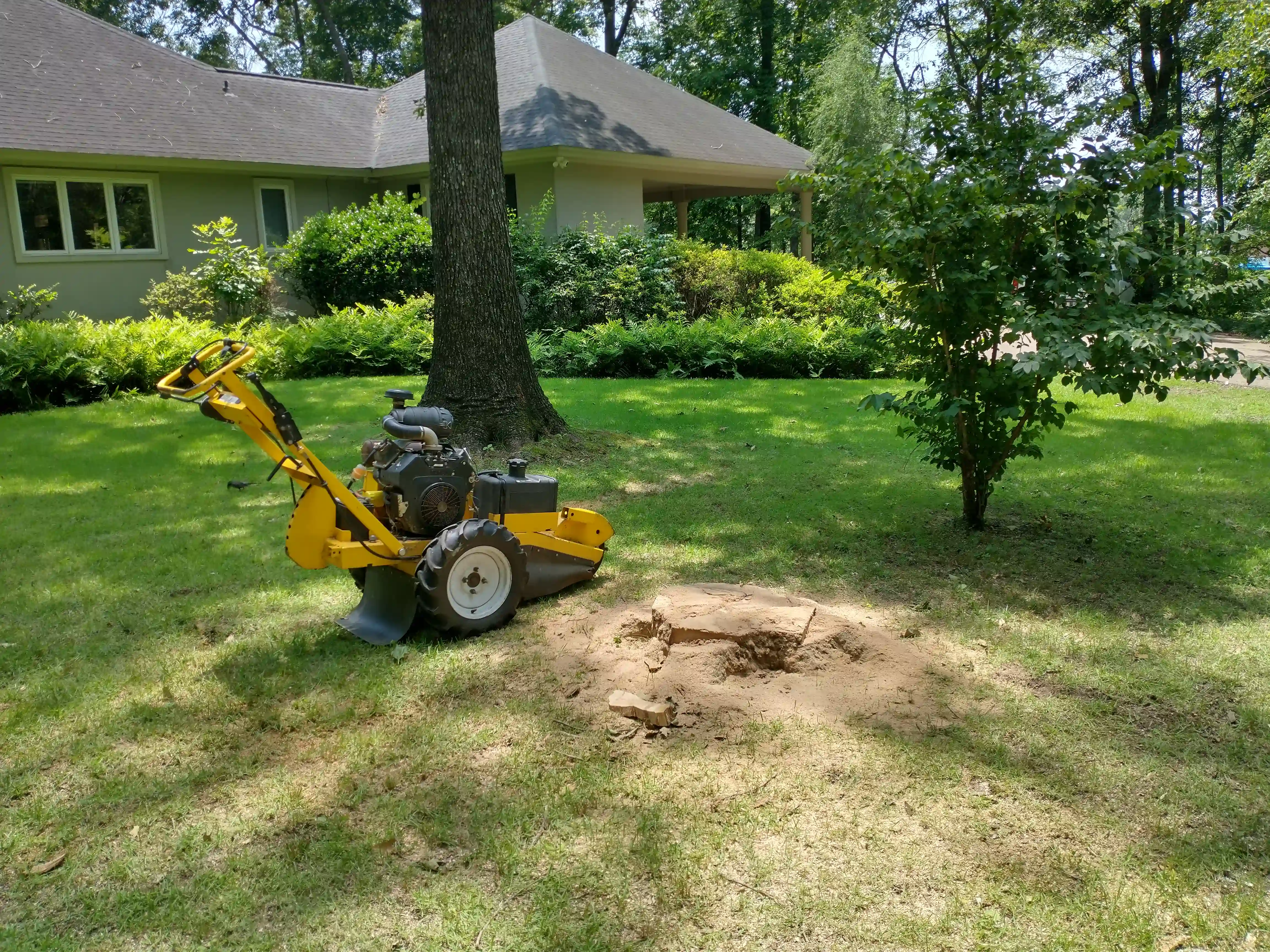 Stump Grinding