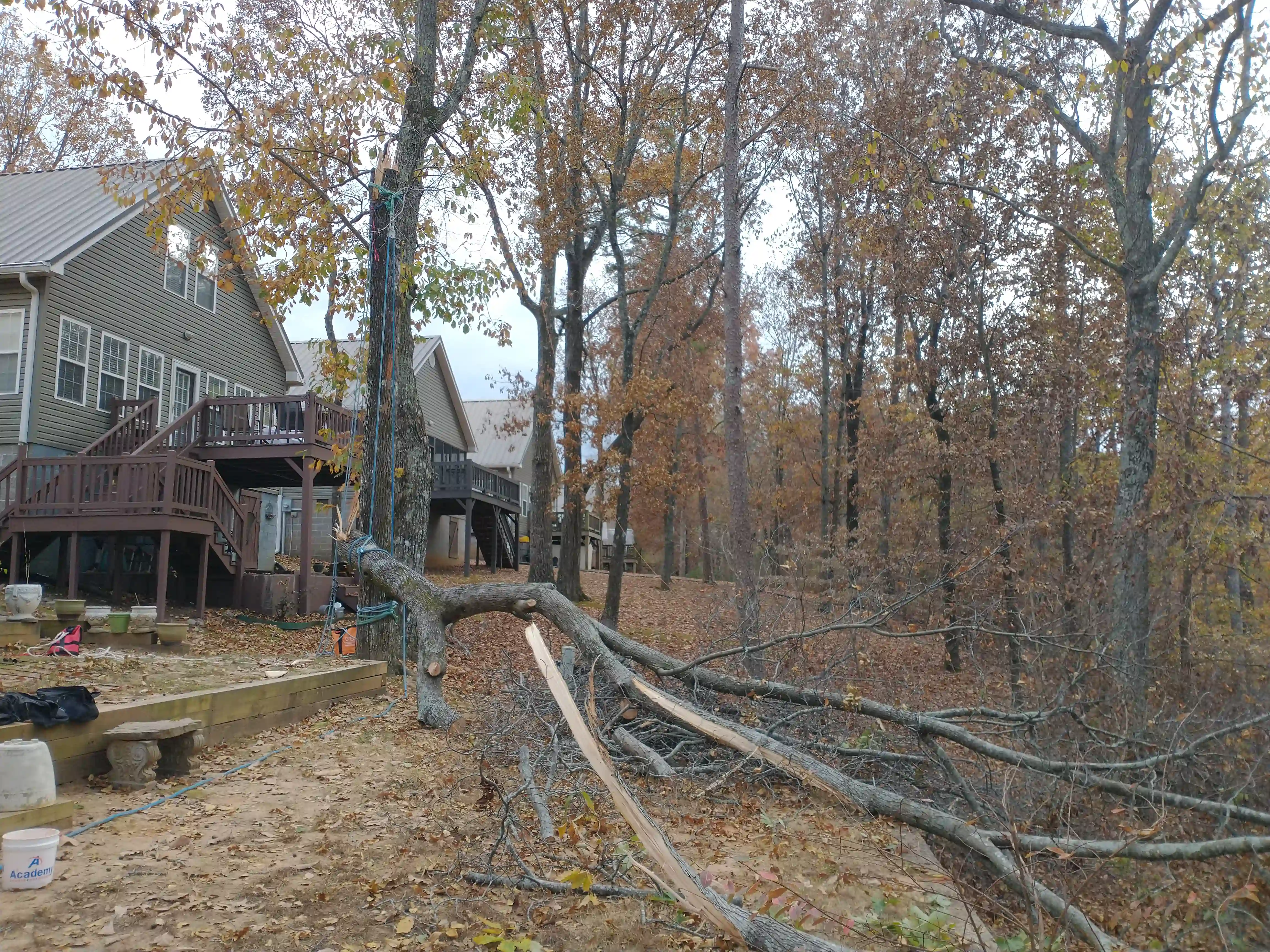 Wind Storm Fallen Tree