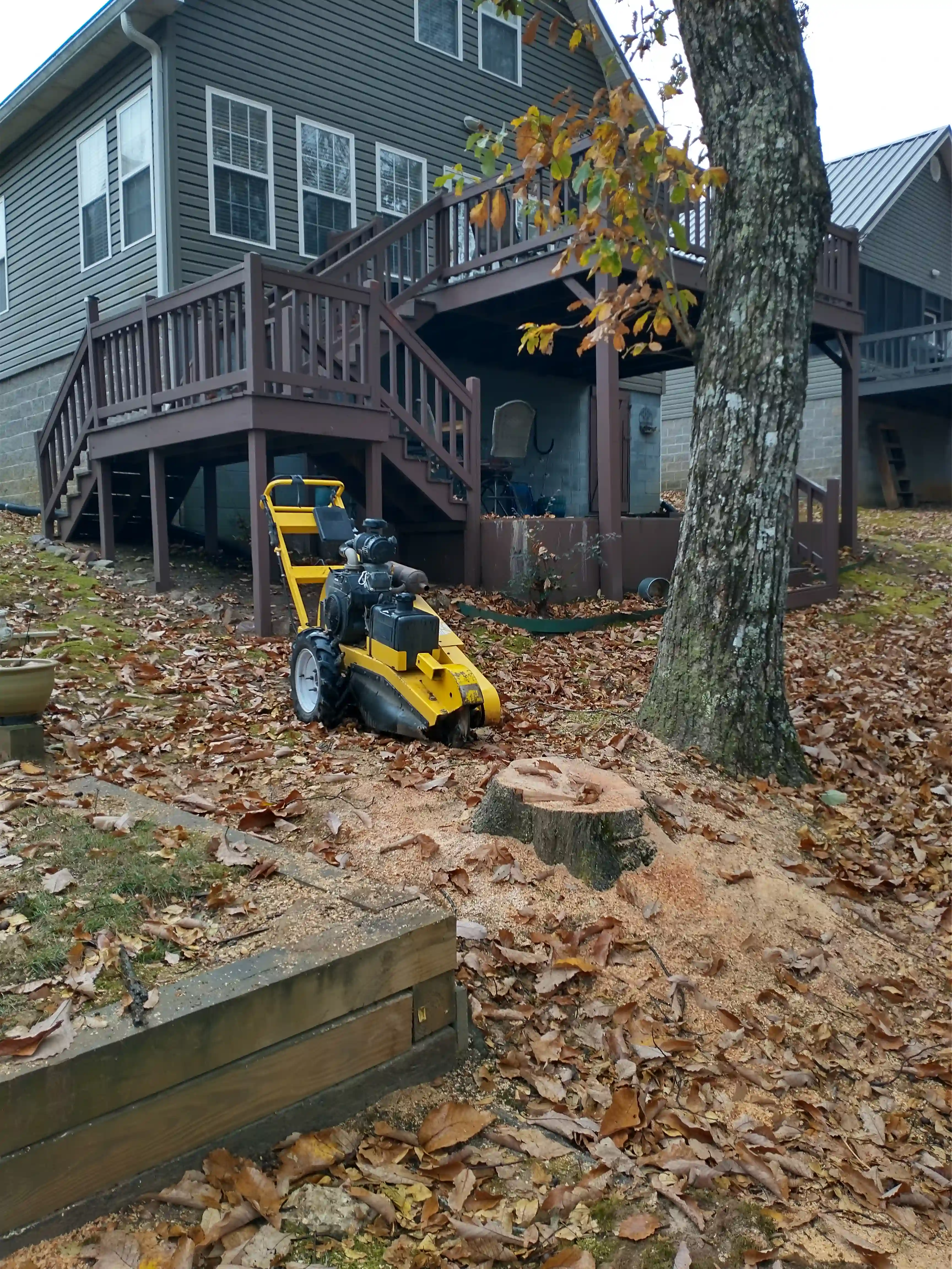 WInd Damaged Tree Hauled Away